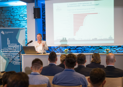 Lausitzer Vielfalt als Stärke nutzen