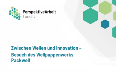 Zwischen Wellen und Innovation – Besuch des Wellpappenwerks Packwell