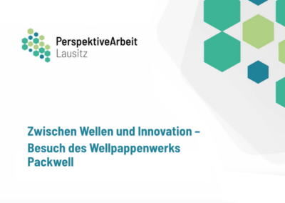 Zwischen Wellen und Innovation – Besuch des Wellpappenwerks Packwell