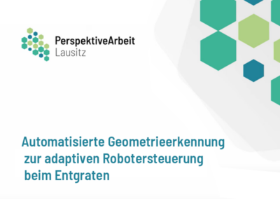 Automatisierte Geometrieerkennung zur adaptiven Robotersteuerung beim Entgraten