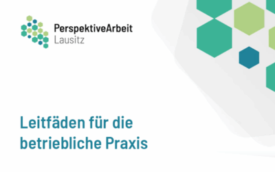 Leitfäden für die betriebliche Praxis