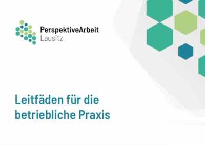Leitfäden für die betriebliche Praxis