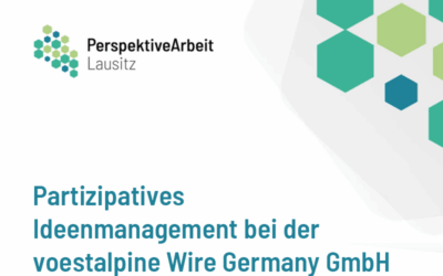 Partizipatives Ideenmanagement bei der voestalpine Wire Germany GmbH: 10 Fragen an Diego Alex, Head of Information Technology Management