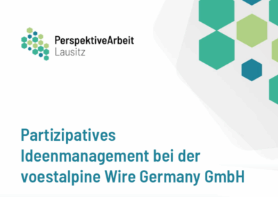 Partizipatives Ideenmanagement bei der voestalpine Wire Germany GmbH: 10 Fragen an Diego Alex, Head of Information Technology Management