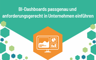 BI-Dashboards passgenau und anforderungsgerecht in Unternehmen einführen
