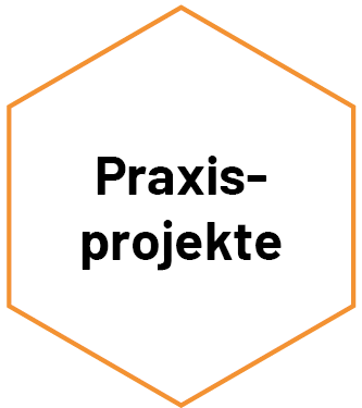 Sechseck_Praxisprojekte